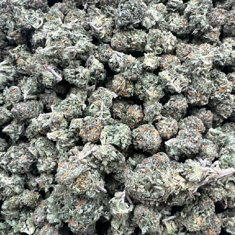 Sweet ZZ (Indoor Smalls) 