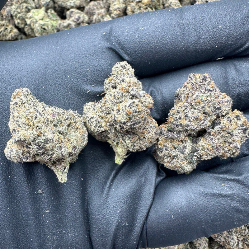 Grandma's Batch 